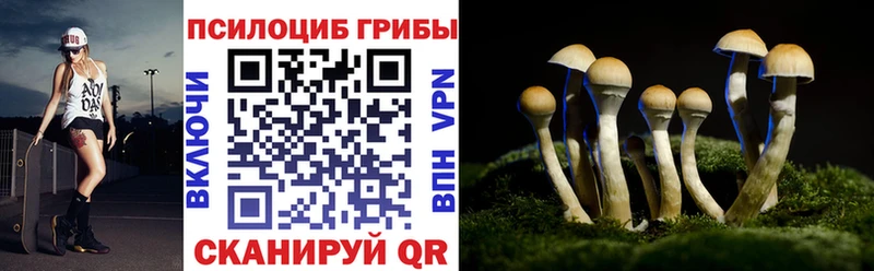 Псилоцибиновые грибы Magic Shrooms  Купить закладки  Сорск 